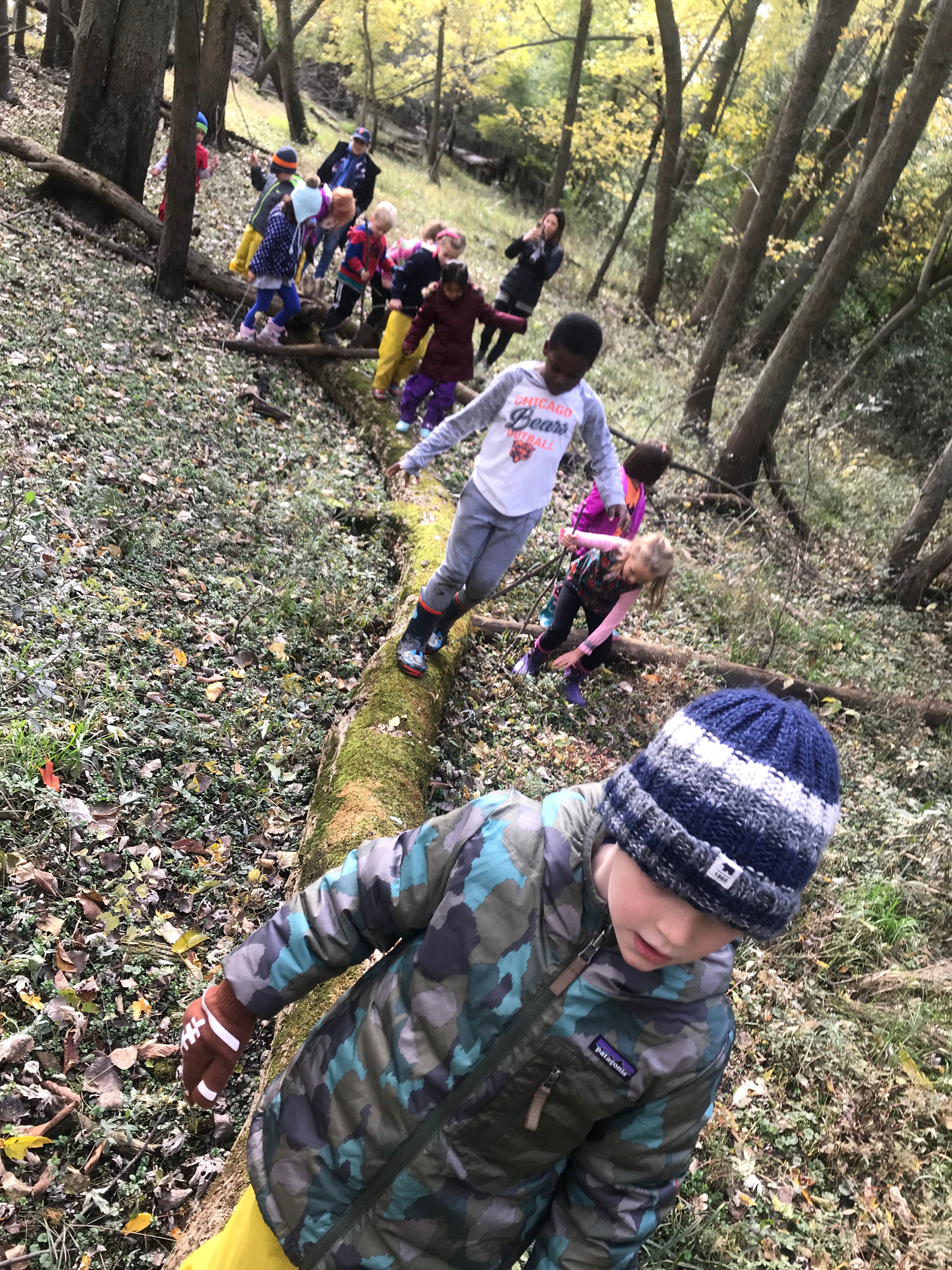 Early Childhood students in nature demonstrating dynamic learning