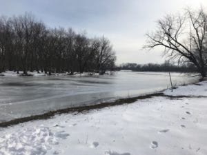 Early Childhoods students view of Erickson Woods Skokie Lagoon in Winnetka