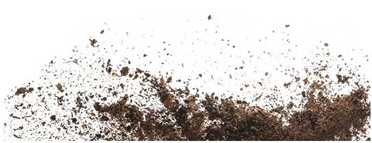 dirt